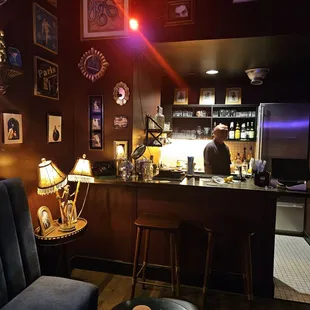 Velvet Monkey upstairs