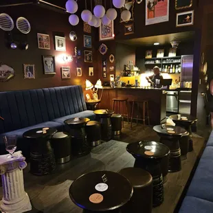 Velvet Monkey upstairs