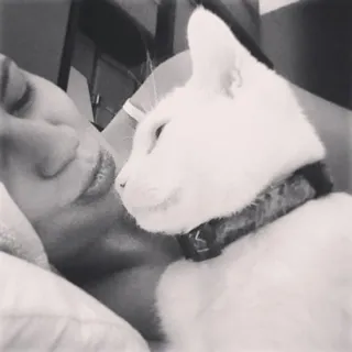 Ali B.