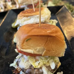 Sliders (HH, $9)