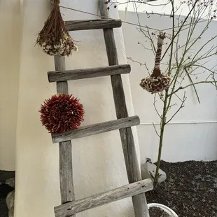 Exterior decor is so lovely!