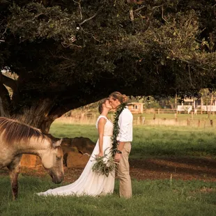 Wedding portrait at Kawailoa Ranch on the North Shore of Oahu