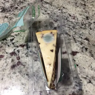 Moldy cheesecake