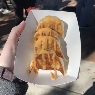 Chicken &amp; Thai Basil Dumplings