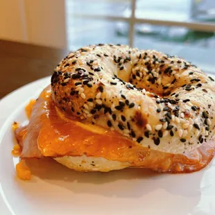 food, bagels, bagel