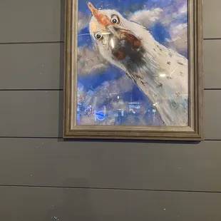 My favorite chicken picture