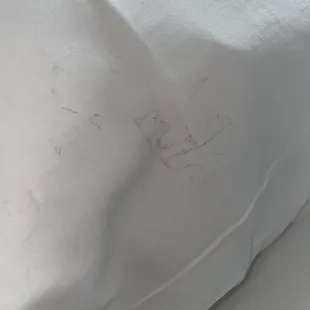 This was the back of the pillow after I flipped them over after discovering dirty sheets!