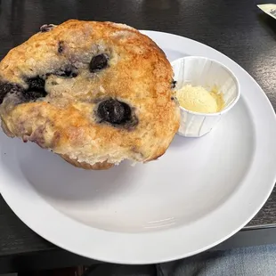 Blueberry Muffin