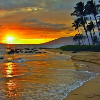 Hawaiian G.
