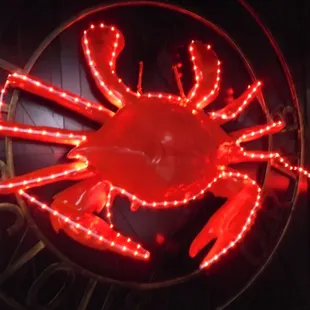 Giant crab display on the back wall.