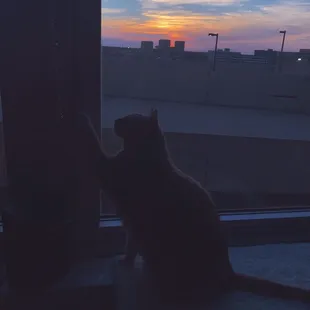 The views of the sunsets never get old in this unit