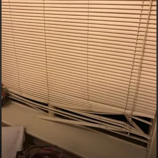 raggedy window shades