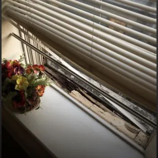 rotten and neglected