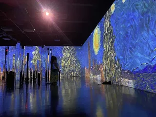Immersive Van Gogh Exhibit Dallas
