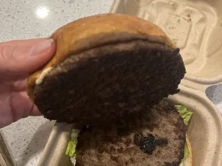 The Burger Bus