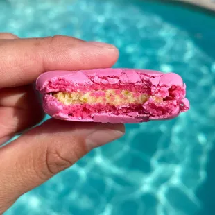 a hand holding a pink macaron