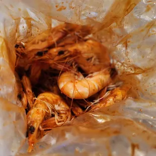 Shrimp, hot, full house