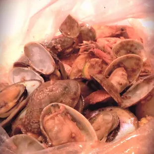 Green Mussels