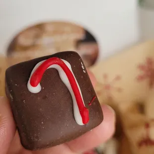 a hand holding a candy cane