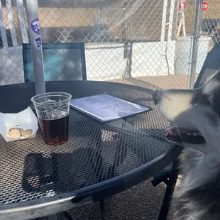 Dogs and beer and sausage