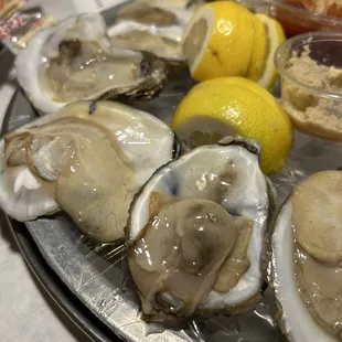 a platter of fresh oysters