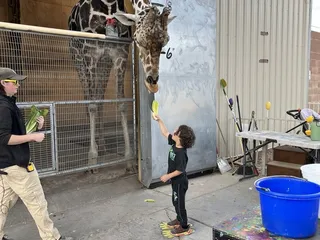 Lion Habitat Ranch