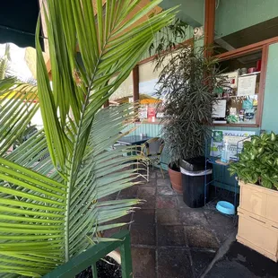 sushi and sashimi, outside