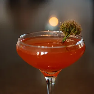 great craft cocktails