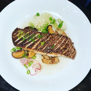 Red Snapper
