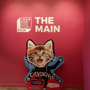 The Main Theater featuring the Cat Video Festival!
