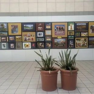 This once was the entrance to Sears