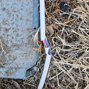 Months old cable already breaking down in the sun. Apparently the landscaping company doesn't know how to use a trencher.