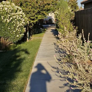 It's the Hobbit Tunnel of Love.   I have to duck.