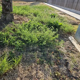 Yeah, I'm sure those 5 Star reviews of The Management Alternative are legit!