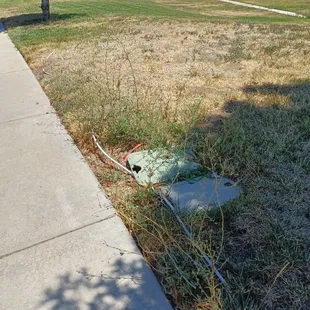 Seems their lawnmowers are afraid of weeds and they left their weed wackers at home.