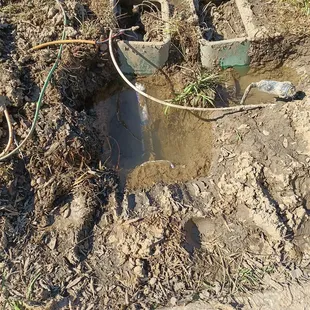 This broken pipe spewed water onto my backyard for 6 weeks. It took 6 weeks for The Management Alternative to fix this.