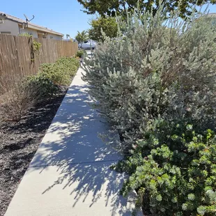 Opps, missed a spot.