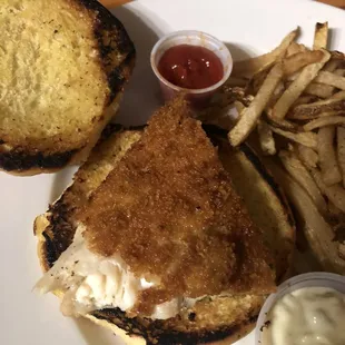 a grilled cheese sandwich with fries and ketchup