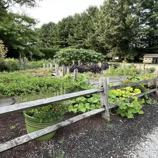 a garden with a wooden fence