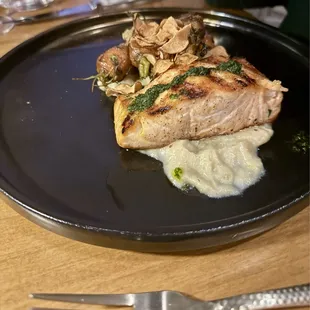 Salmon