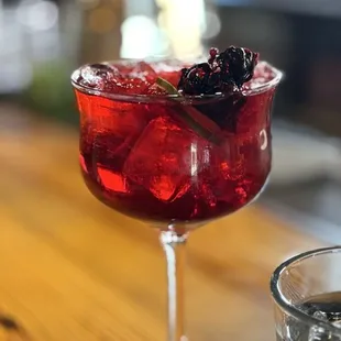 FANCY G-N-T - Chihuahuan Desert Hibiscus Gin, Mint, Fever Tree Tonic Water