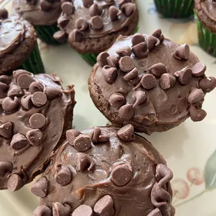 Chocolate Chip Cupcakes
