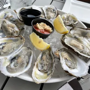 Oysters on the Half Shell