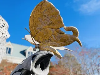 Virginia Zoo
