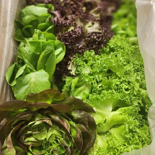 Alll the fresh greens : )