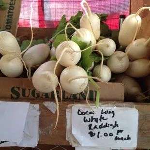 radishes and turnips