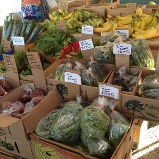 a variety of vegetables