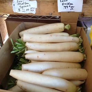 radishes in a cardboard box