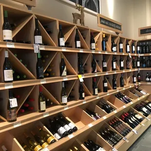 ramen and noodles, interior