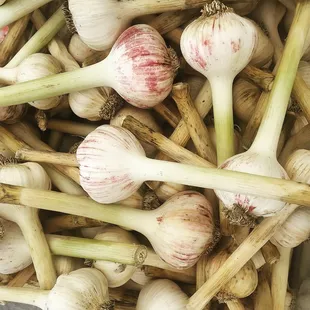 a pile of garlic